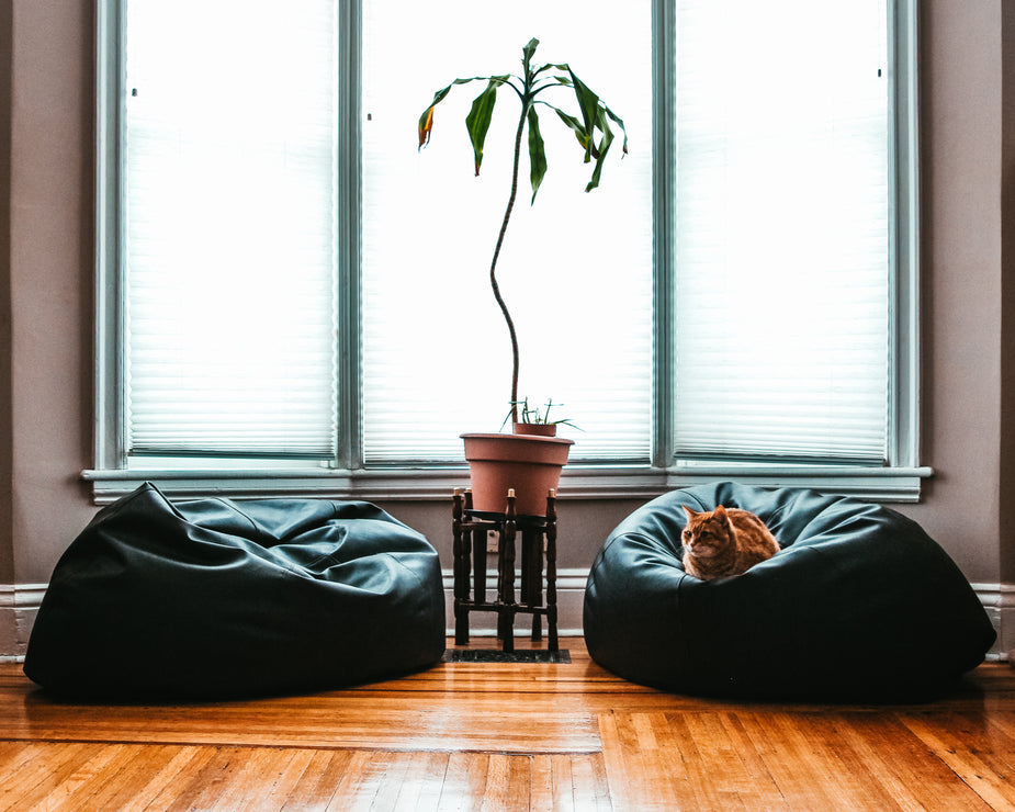 Product 2 (Hoodie tag) Black Beanbag